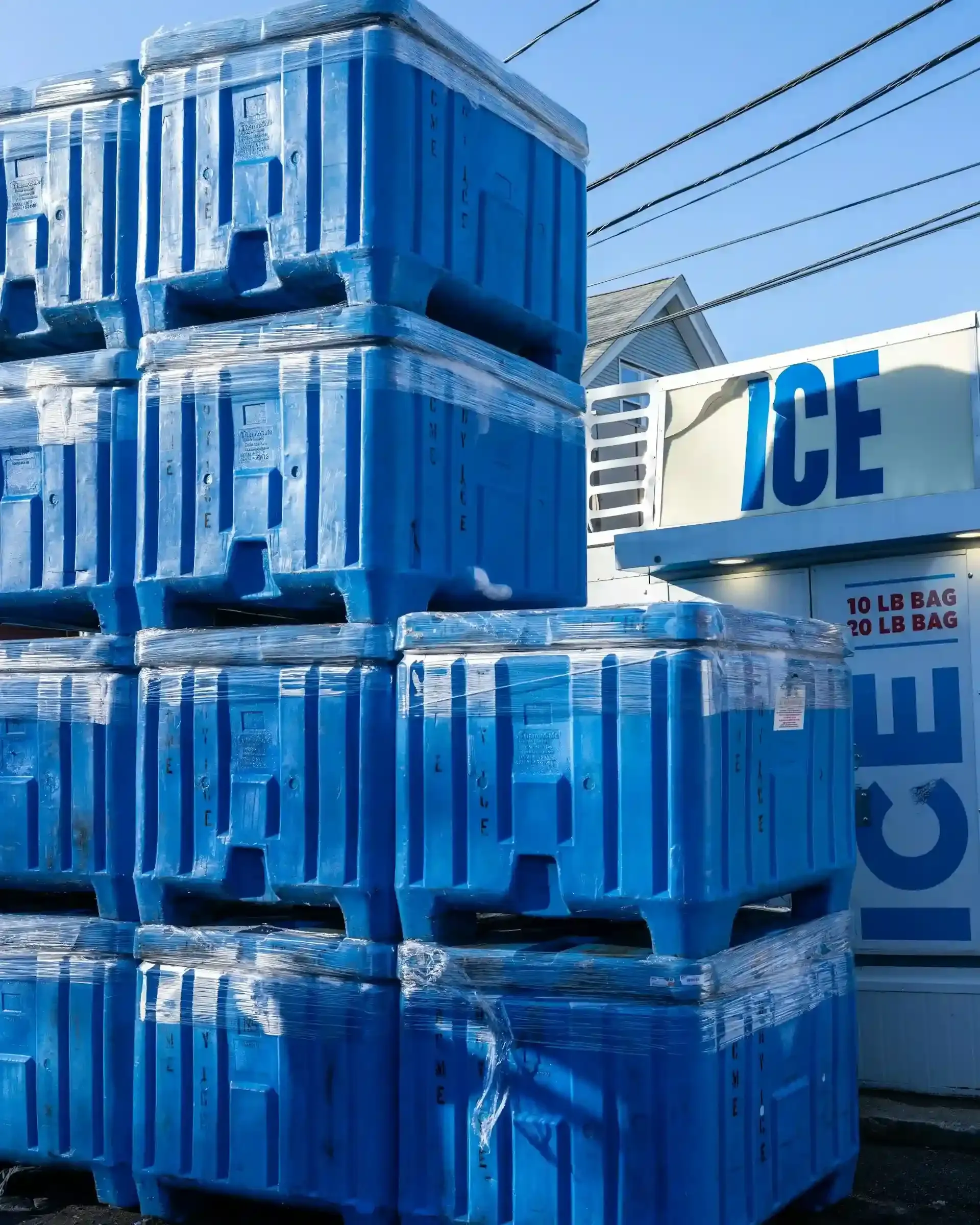 Cold Storage & F&B